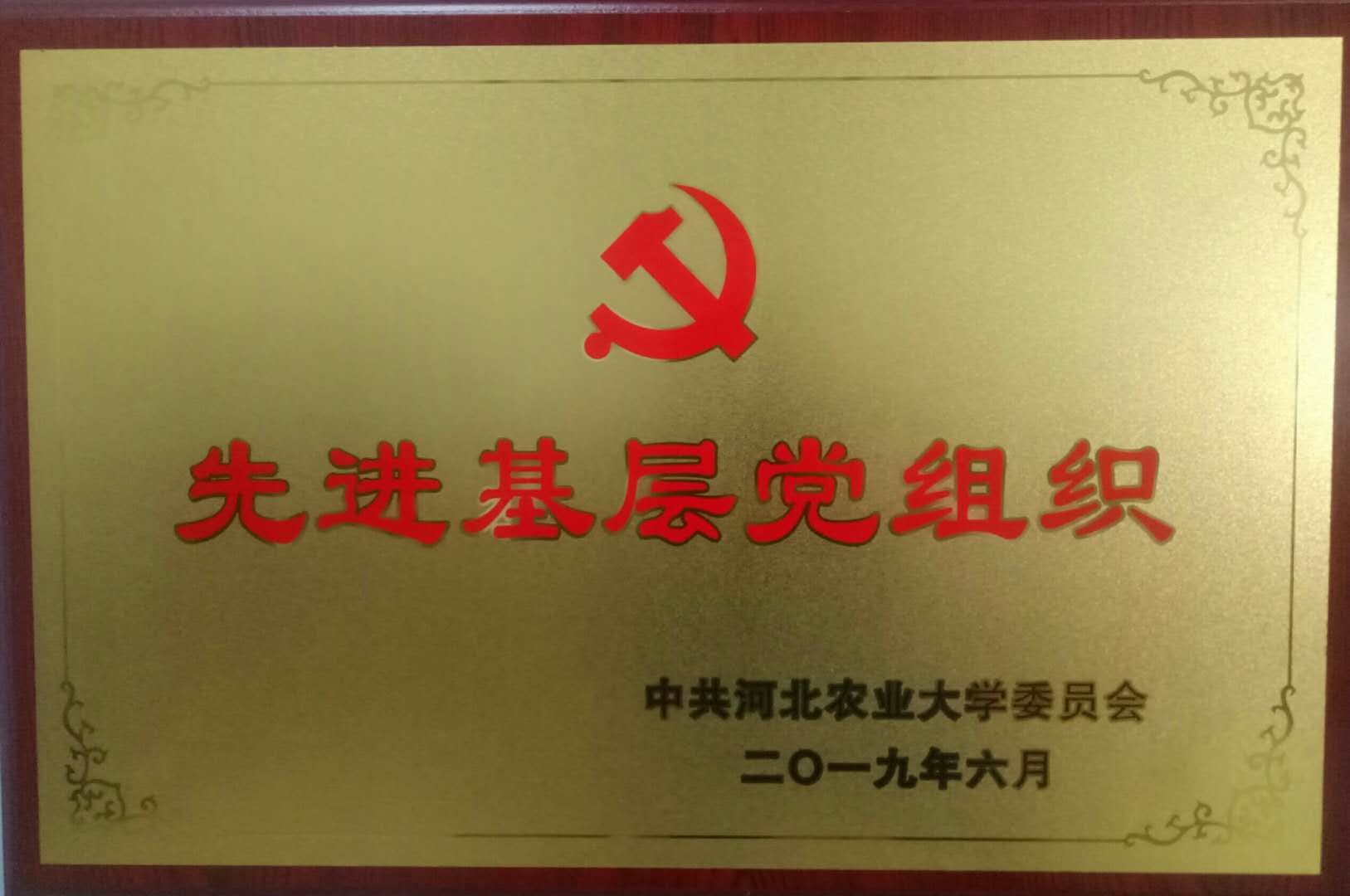 先进基层党组织.jpg